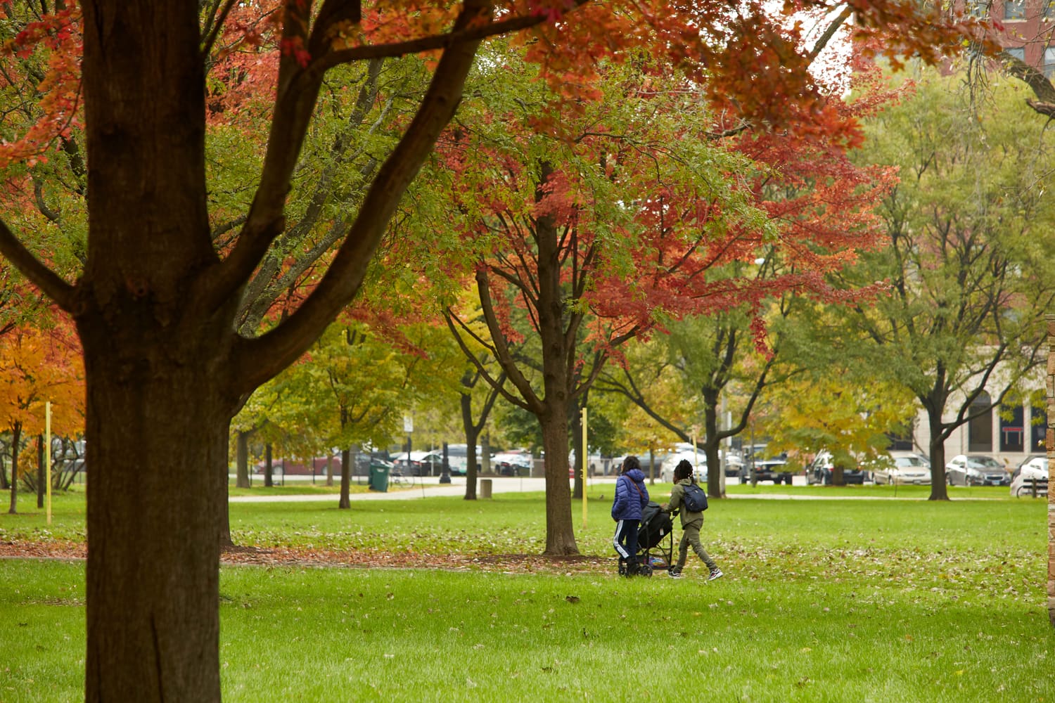 hydeparkscenics-056 (1)